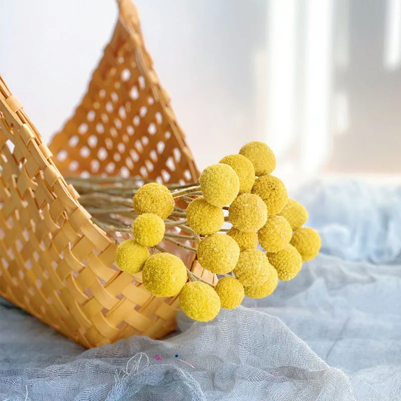 Eternal Artificial Dried Flowers Golden Ball Pompom Nordic Home Living Room Decoration Wedding Party Table Centerpieces
Eternal Artificial Dried Flowers Golden Ball Pompom Nordic Home Living Room Decoration Wedding Party Table Centerpieces