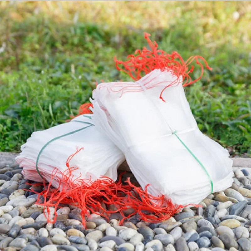 100pcs Plant Fruit Protect Bags Against Pest Bird Nylon Drawstring Bags For Fruits And Vegetables Garden Plant Care Tools
100pcs Plant Fruit Protect Bags Against Pest Bird Nylon Drawstring Bags For Fruits And Vegetables Garden Plant Care Tools
