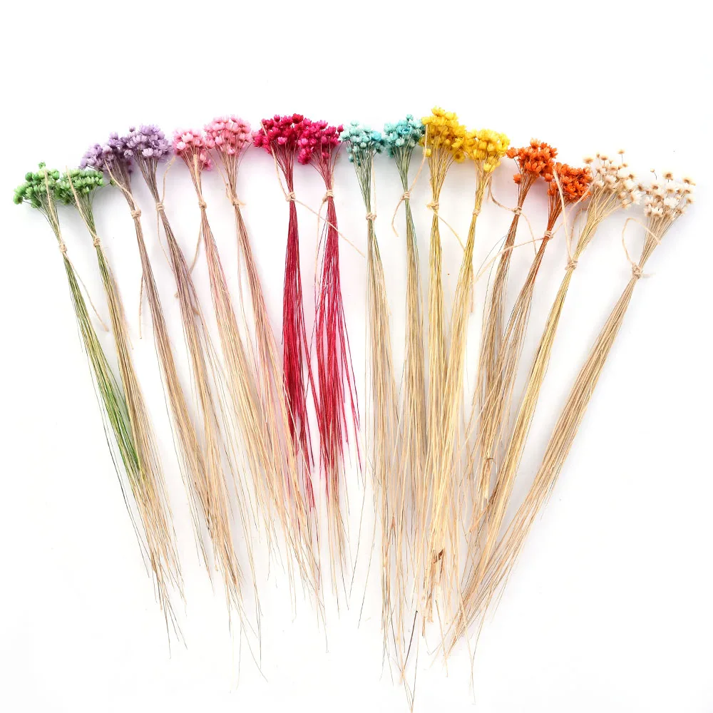 Natural Dried Flower Bouquet for Wedding Party Decoration DIY Immortal Flower Decor Garden Living Room Decor 
Natural Dried Flower Bouquet for Wedding Party Decoration DIY Immortal Flower Decor Garden Living Room Decor