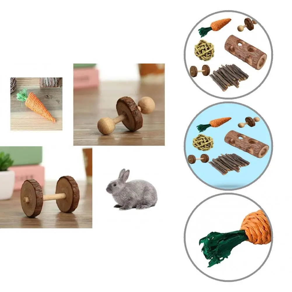 Relieve Anxiety Portable Attractive Orange Carrot Design Chew Molar Toy for Small Animals
Relieve Anxiety Portable Attractive Orange Carrot Design Chew Molar Toy for Small Animals