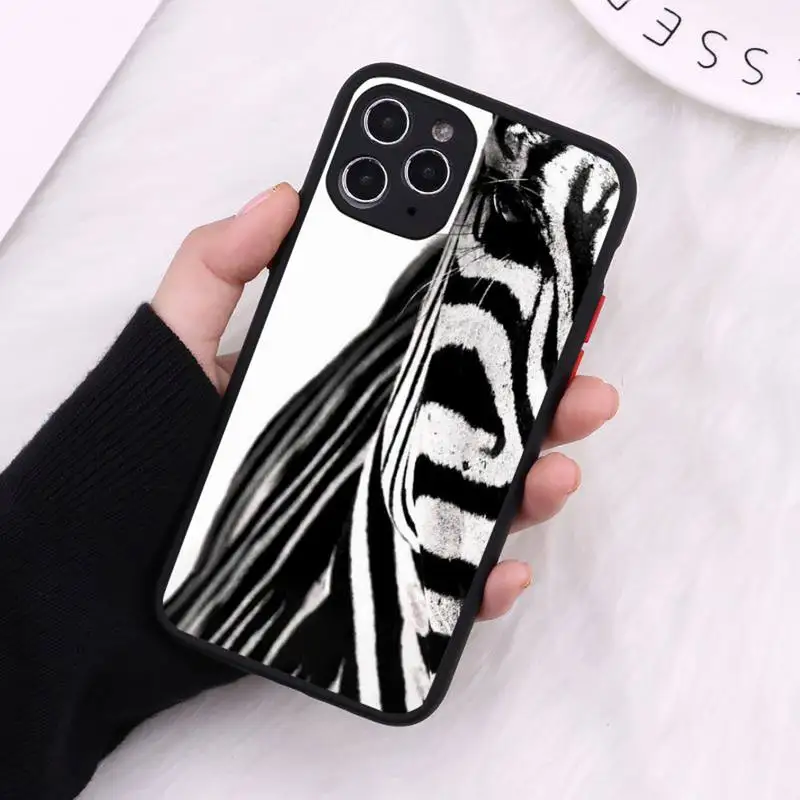 Animal zebra black and white stripes Phone Case Matte Transparent For iPhone 12 Mini 11 Pro XR XS Max 7 8 Plus
Animal zebra black and white stripes Phone Case Matte Transparent For iPhone 12 Mini 11 Pro XR XS Max 7 8 Plus
