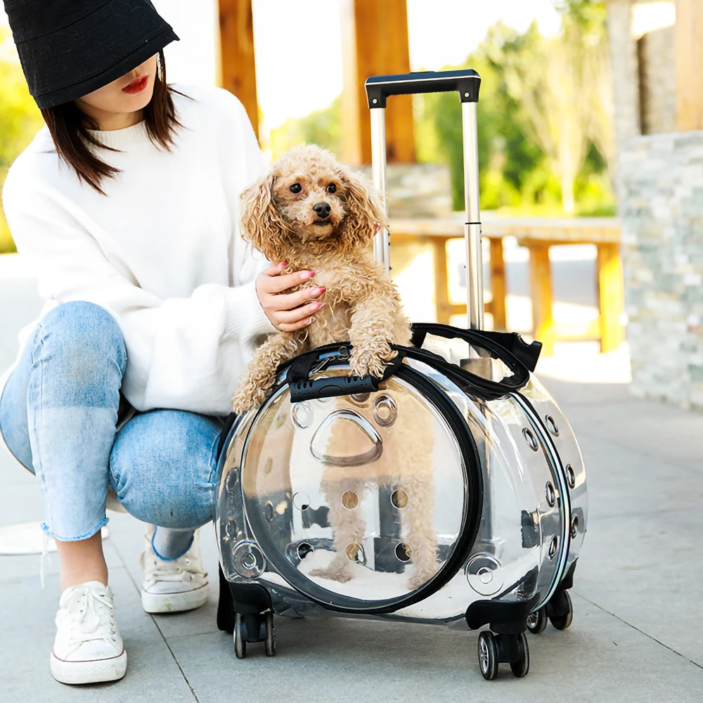 Pet Trolley Case Dog Cat Travel Breathable Transport Bag Rolling Luggage Backpack Out Portable Multifunctional Handbag
Pet Trolley Case Dog Cat Travel Breathable Transport Bag Rolling Luggage Backpack Out Portable Multifunctional Handbag