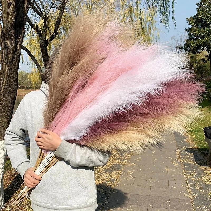1Pc Artificial Pampas Grass Dried Reed Flowers Bouquet Simulation Plant for Wedding Party Home Room Decoration Faux Reed Flower
1Pc Artificial Pampas Grass Dried Reed Flowers Bouquet Simulation Plant for Wedding Party Home Room Decoration Faux Reed Flower