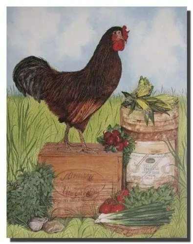 Mirassou Cockadoodledoo Rooster Chicken Wall Decor Poster Tin Sign 8x12 Inch Home Kitchen Bedroom Bar Sign Decoration Posters
Mirassou Cockadoodledoo Rooster Chicken Wall Decor Poster Tin Sign 8x12 Inch Home Kitchen Bedroom Bar Sign Decoration Posters
