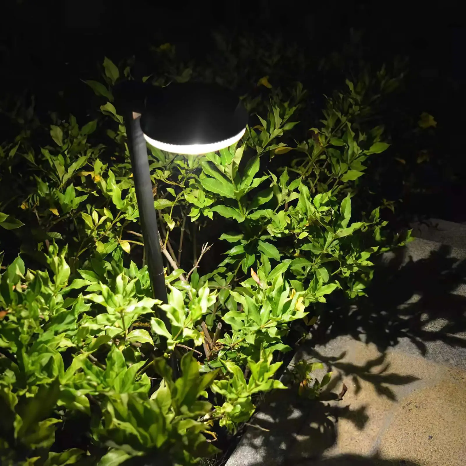 2pcs Solar Lawn Light Solar Garden Light Solar Landscape Light Garden Terrace Solar Lawn Light 2pcs Courtyard Decor Solar Lamp
2pcs Solar Lawn Light Solar Garden Light Solar Landscape Light Garden Terrace Solar Lawn Light 2pcs Courtyard Decor Solar Lamp