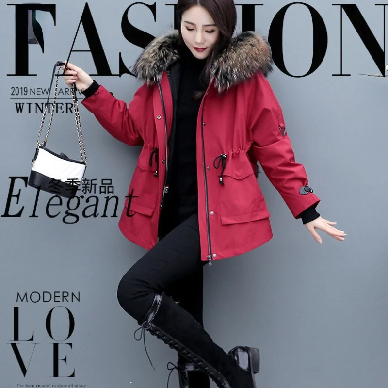 Spring Autumn Woman Hood Collar Parkas Female Fashion Coats Ladies Elegant Solid Front Pockets Cotton Jackets Plus Size 4XL A248
Spring Autumn Woman Hood Collar Parkas Female Fashion Coats Ladies Elegant Solid Front Pockets Cotton Jackets Plus Size 4XL A248