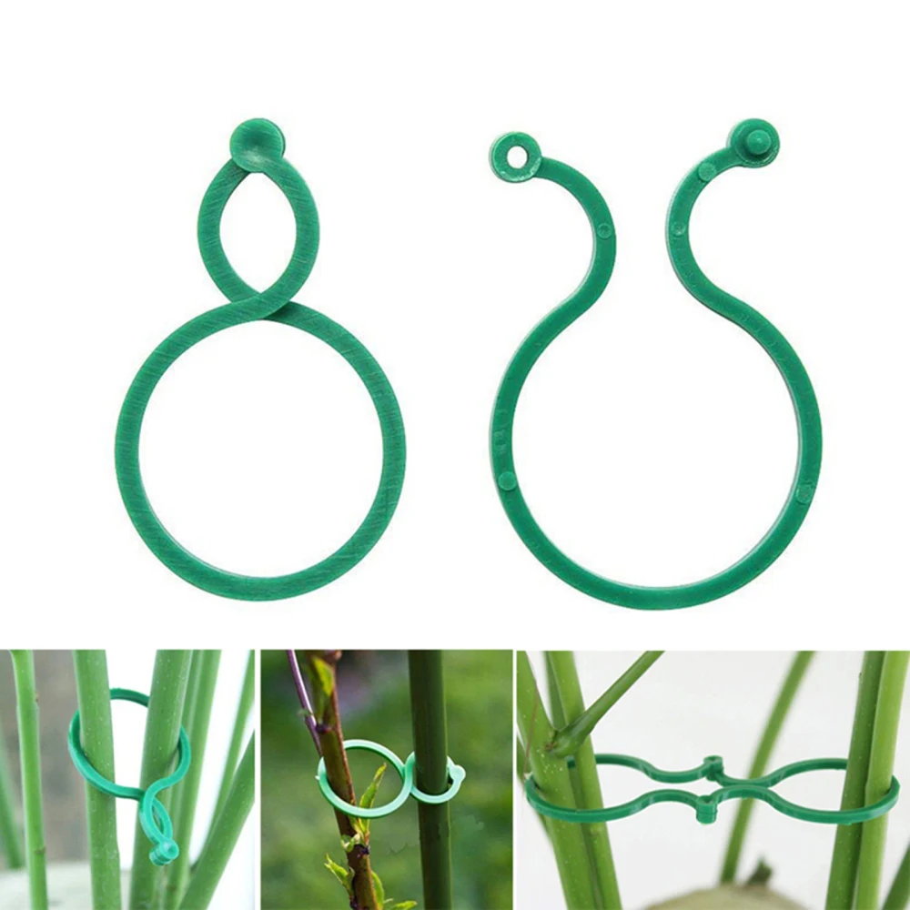 Plant Clip Clips Vegetable Holder Vine Support 50pcs Adjustable Cable Connection Fastener PE Greenhouse Farm Fruit Garden Tools
Plant Clip Clips Vegetable Holder Vine Support 50pcs Adjustable Cable Connection Fastener PE Greenhouse Farm Fruit Garden Tools