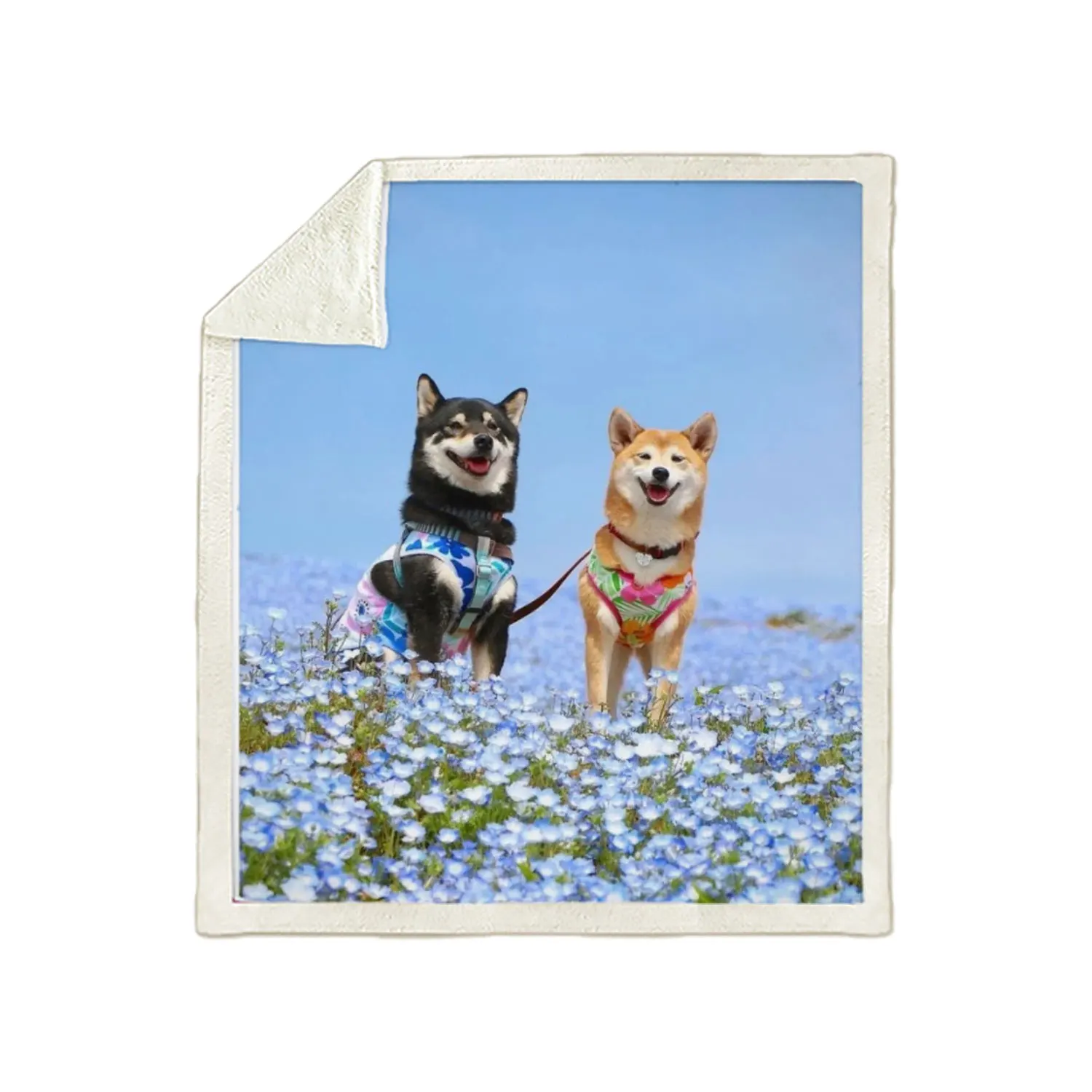 SONSPEE 3D Shiba Inu Animal Dog Printed Blanket Autumn And Winter Plush Fashion Trend Single Soft Blanket Personalized Custom Bl
SONSPEE 3D Shiba Inu Animal Dog Printed Blanket Autumn And Winter Plush Fashion Trend Single Soft Blanket Personalized Custom Bl