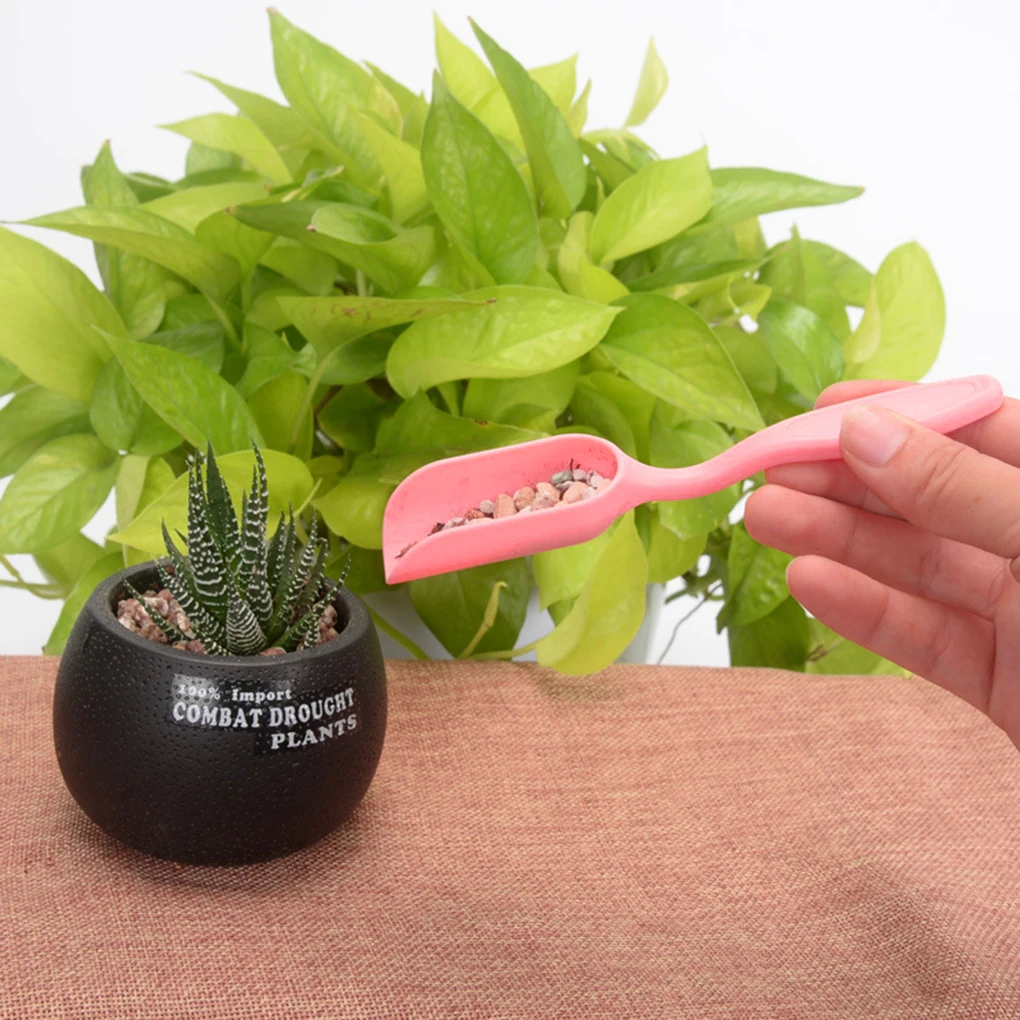 2/3/5Pcs Gardening Tools Kit Garden Accessories Portable Transplanting Tools Mini Shovel Brush Potted Plants Planting Helper
2/3/5Pcs Gardening Tools Kit Garden Accessories Portable Transplanting Tools Mini Shovel Brush Potted Plants Planting Helper
