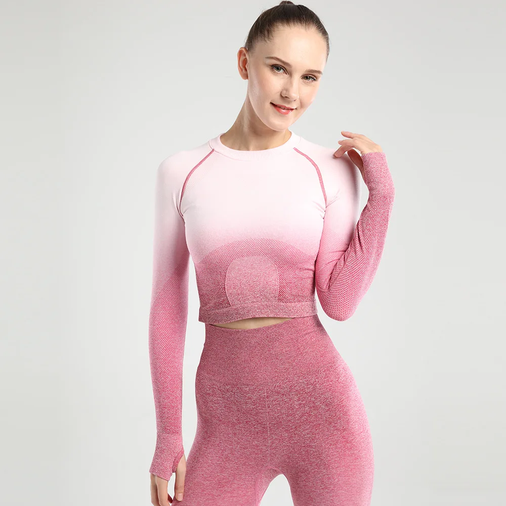 Sportswear Sport Top Fitness Sports Gym Gradient Vital Seamless Long Sleeve Crop Top Sports T-shirt Workout Tops For Women
Sportswear Sport Top Fitness Sports Gym Gradient Vital Seamless Long Sleeve Crop Top Sports T-shirt Workout Tops For Women