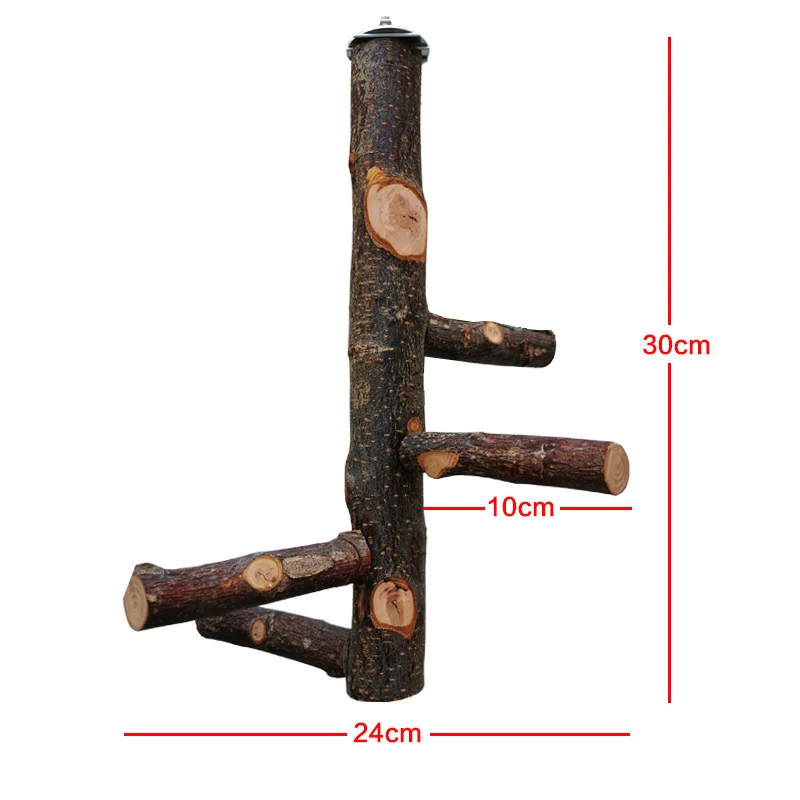Pet Parrot Wood Stand Rack Toy Branch Perches For Bird Hamster Cage Accessories Pet Supplies
Pet Parrot Wood Stand Rack Toy Branch Perches For Bird Hamster Cage Accessories Pet Supplies