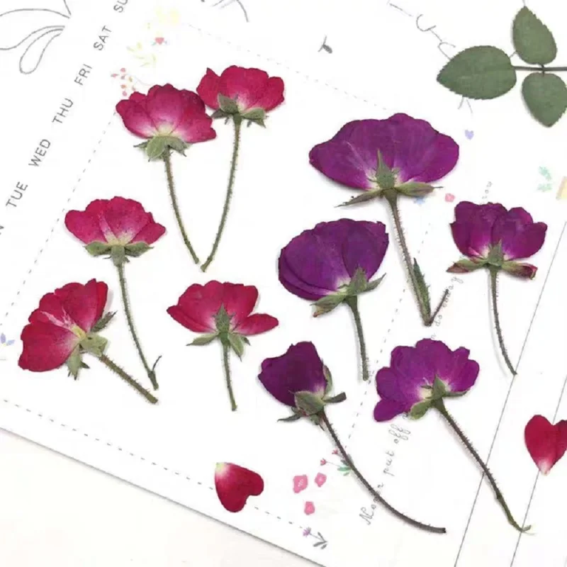 50pcs Pressed Dried Rose Flower Plants For Epoxy Resin Pendant Necklace Jewelry Making Craft DIY Accessories
50pcs Pressed Dried Rose Flower Plants For Epoxy Resin Pendant Necklace Jewelry Making Craft DIY Accessories