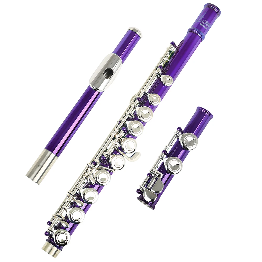 

Western Concert Flute Nickel Plated 16 Holes C Key Cupronickel Flute Woodwind Instrument With Case Screwdriver Cleaning Cloth