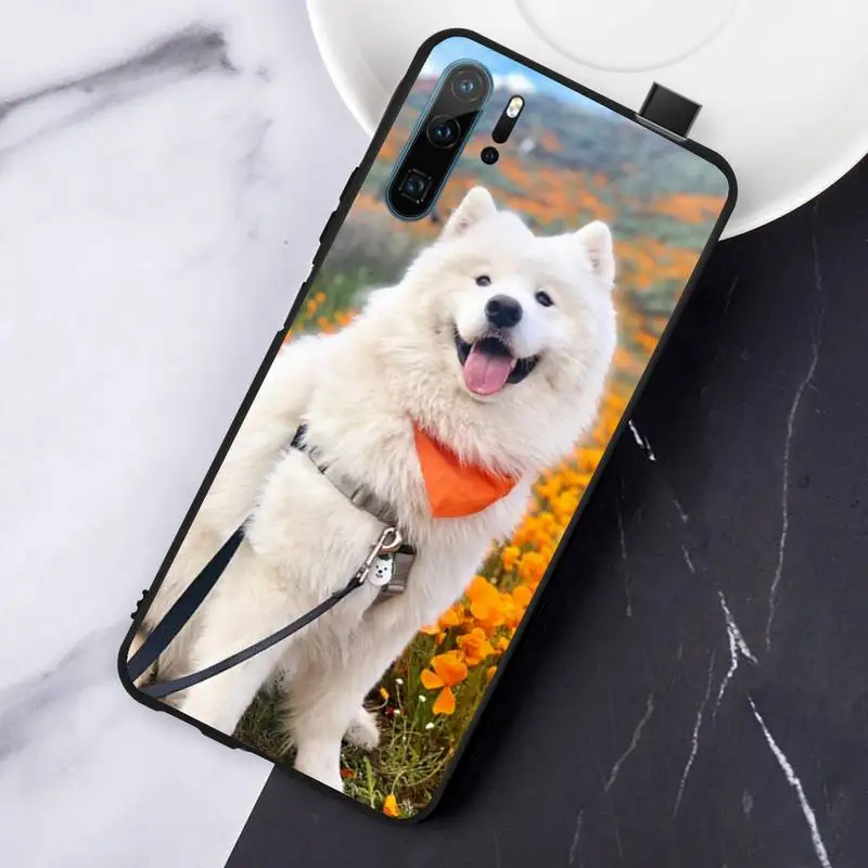 lovely Samoyed dog Hard Phone Case For Huawei honor Mate P 10 20 30 40 Pro 10i 9 10 20 8 x Lite
lovely Samoyed dog Hard Phone Case For Huawei honor Mate P 10 20 30 40 Pro 10i 9 10 20 8 x Lite