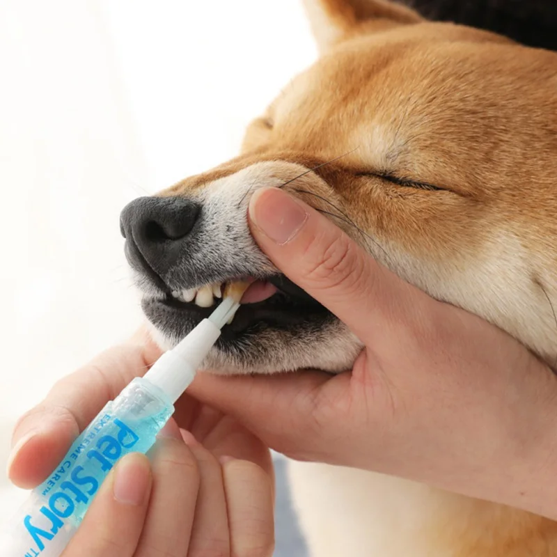 Pet Beauty Toothbrush Dog Teeth Cleaning Kit Dog Cat Tartar Dental Stone Cleaning Pen
Pet Beauty Toothbrush Dog Teeth Cleaning Kit Dog Cat Tartar Dental Stone Cleaning Pen