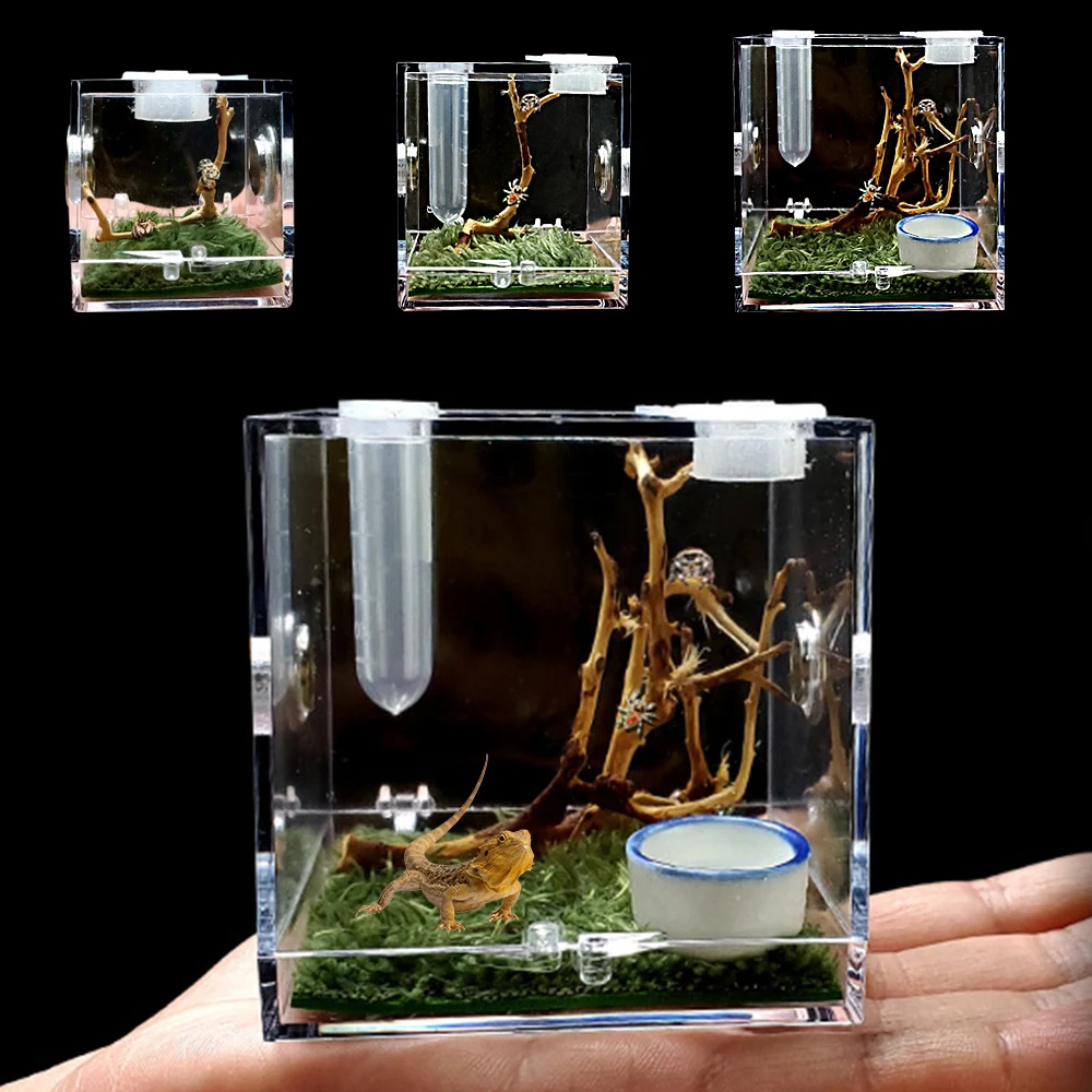 Ant Nest Spider Small Insect Breathable Terrarium Transparent Reptile Breeding Box Acrylic Enti'S Acrylic Box Pet Supplies
Ant Nest Spider Small Insect Breathable Terrarium Transparent Reptile Breeding Box Acrylic Enti'S Acrylic Box Pet Supplies