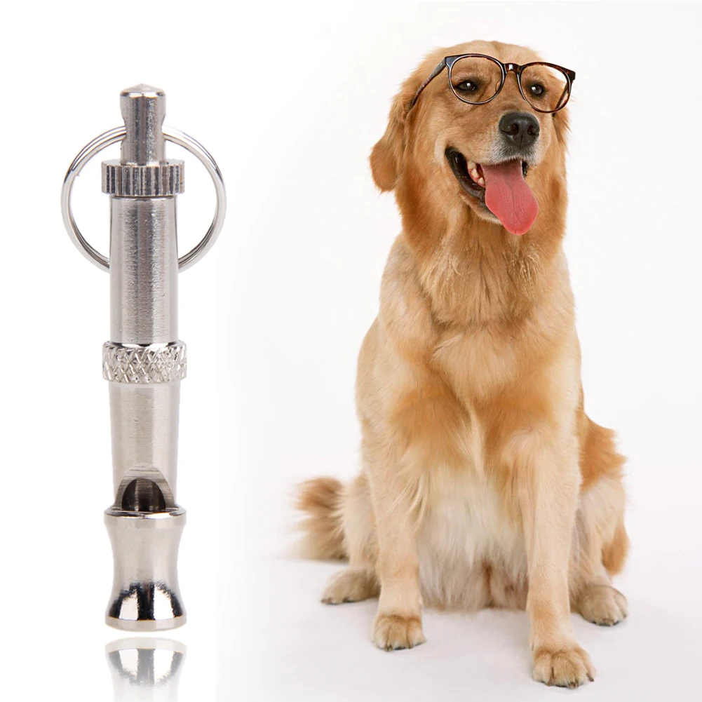 Stop Barking Ultrasonic Sound Cat Training Tools Keychain Pet Dog Ultrasound Whistle Two-tone Ultrasonic Flute Training Whistle
Stop Barking Ultrasonic Sound Cat Training Tools Keychain Pet Dog Ultrasound Whistle Two-tone Ultrasonic Flute Training Whistle