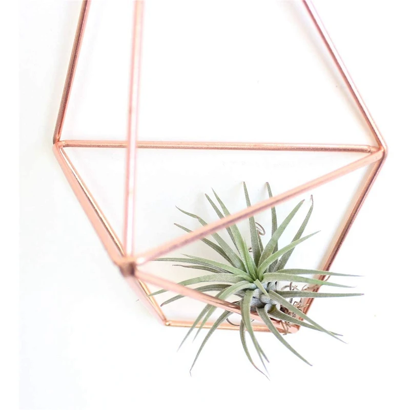 4Pack Wall Mounted Air Plants Holder Geometric Plant Holder 2 Shapes Tillandsia Rack Accent Decor Air Fern Himmeli Decor 
4Pack Wall Mounted Air Plants Holder Geometric Plant Holder 2 Shapes Tillandsia Rack Accent Decor Air Fern Himmeli Decor