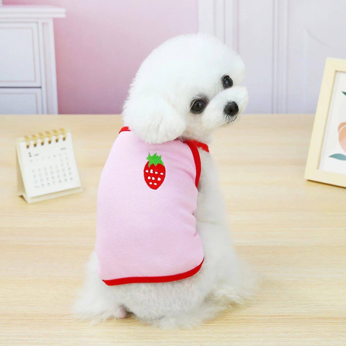 Pet Dog Clothes for Small Dogs Coat Cartoon Pet Costume Soft Dog Clothing Yorkies Chihuahua Clothes
Pet Dog Clothes for Small Dogs Coat Cartoon Pet Costume Soft Dog Clothing Yorkies Chihuahua Clothes