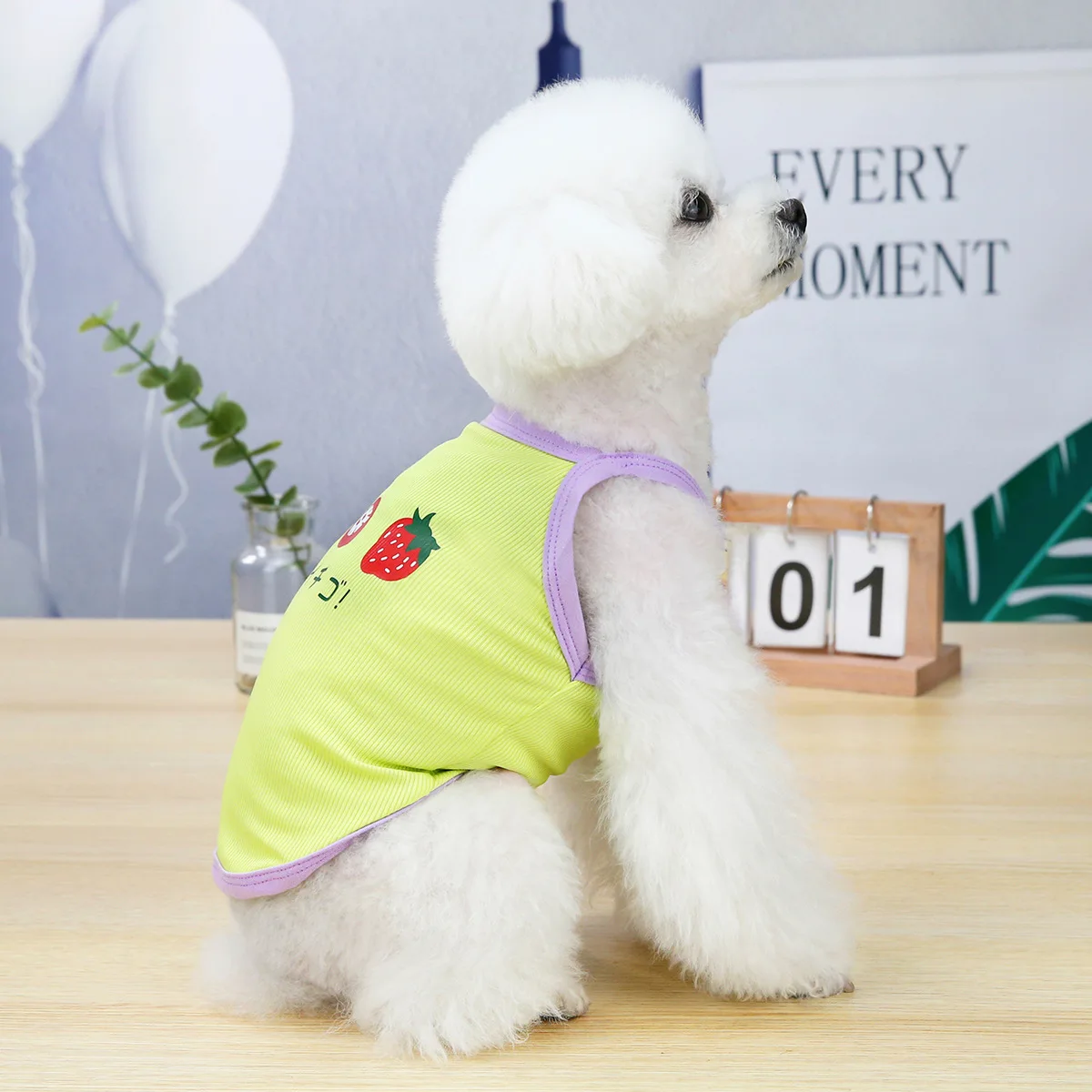 Pet Clothes Dog Clothes Fruit Vest Spring and Summer Thin Strawberry Suspender Skirt Pet Clothes Dog Cooling Vest Dog Costume
Pet Clothes Dog Clothes Fruit Vest Spring and Summer Thin Strawberry Suspender Skirt Pet Clothes Dog Cooling Vest Dog Costume