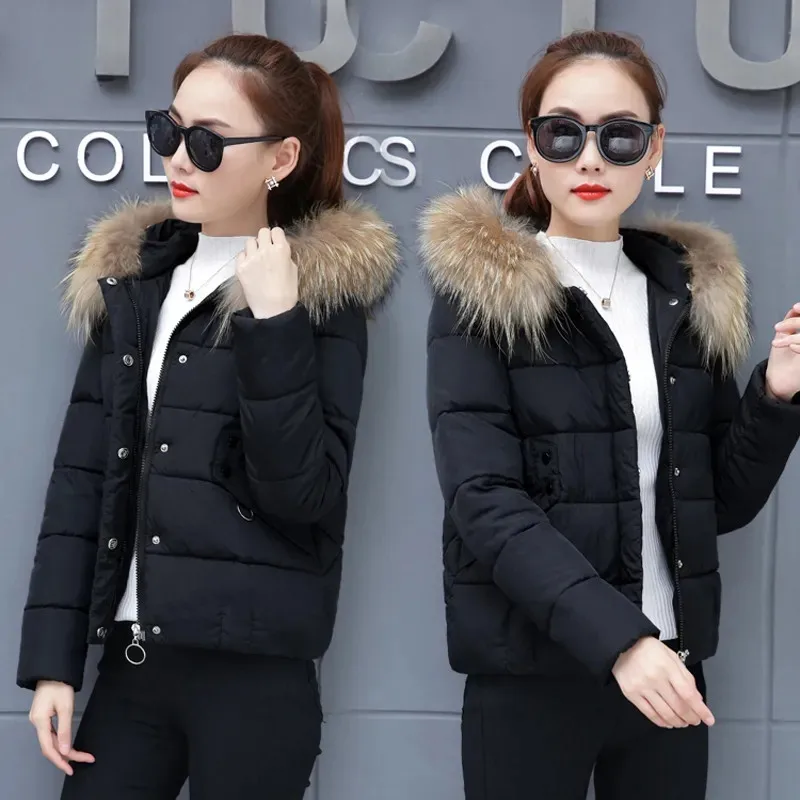 2021 New Short Winter Jacket Women Warm Hooded Fur Collar Down Cotton Jacket Parkas Female Casual Loose Cotton Padded Outwear
2021 New Short Winter Jacket Women Warm Hooded Fur Collar Down Cotton Jacket Parkas Female Casual Loose Cotton Padded Outwear