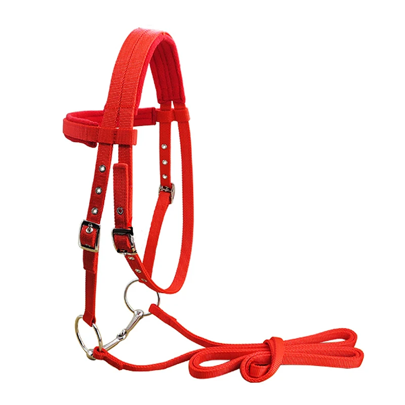Adjustable Horse Riding Equipment Halter Horse Bridle With Bit And Rein Belt For Horse Equestrian Accessories Soft Thicken
Adjustable Horse Riding Equipment Halter Horse Bridle With Bit And Rein Belt For Horse Equestrian Accessories Soft Thicken