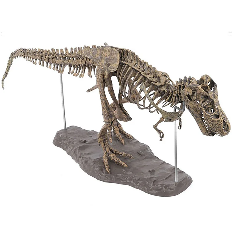 Tyrannosaurus Rex Skeleton Dinosaur Animal Collector Decor Model Toy DSS899
Tyrannosaurus Rex Skeleton Dinosaur Animal Collector Decor Model Toy DSS899