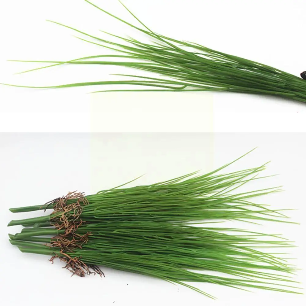 Artificial Green Plant Fine Grass 45cm Plastic Green Decoration Garden Home Grass Potted R5w7
Artificial Green Plant Fine Grass 45cm Plastic Green Decoration Garden Home Grass Potted R5w7
