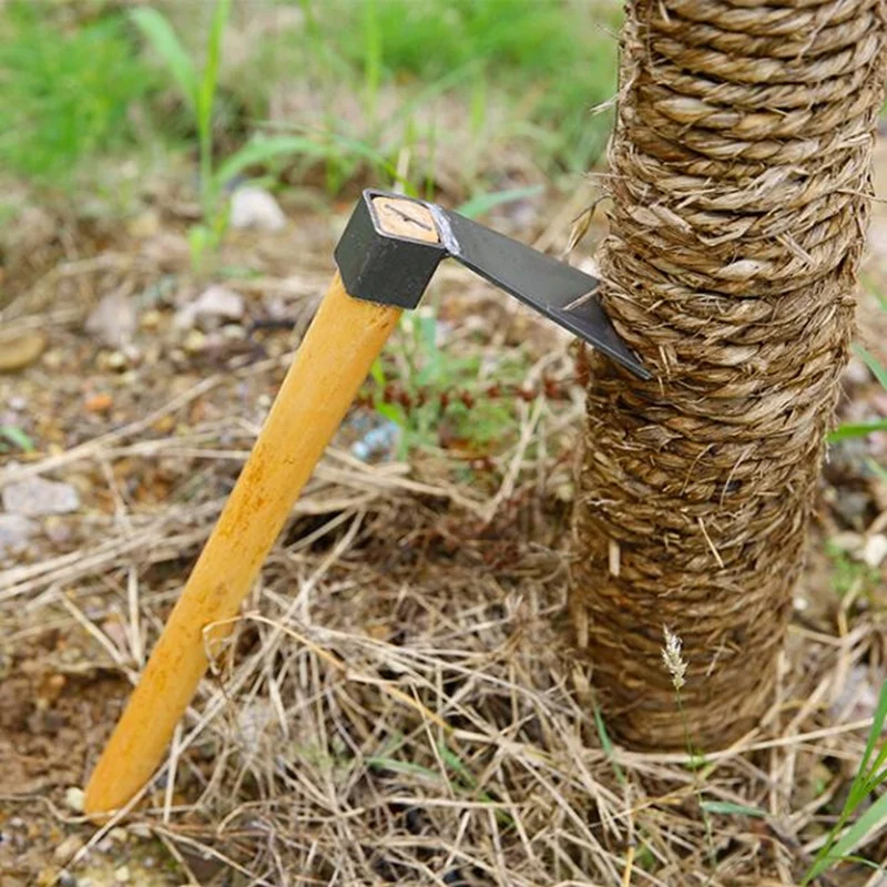Mini Hand Tools Wooden Handle Hoe Excavator Tool Steel Agricultural Tools Planting Vegetable Garden Agriculture Agriculture
Mini Hand Tools Wooden Handle Hoe Excavator Tool Steel Agricultural Tools Planting Vegetable Garden Agriculture Agriculture