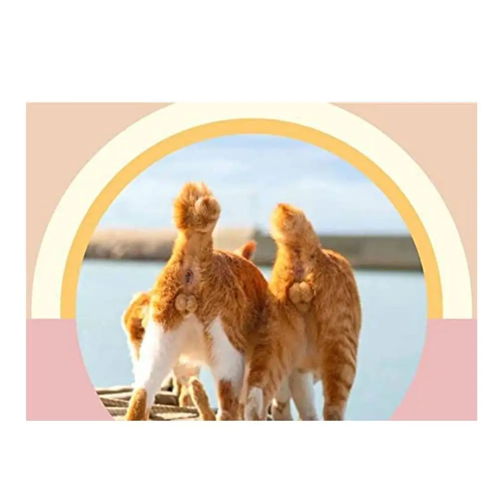 2022 Cat Calendar Wall Creative Calendar With 12 Funny Cat Love Butt Photographs Kitten Square Wall Calendar 63x118 Inch
2022 Cat Calendar Wall Creative Calendar With 12 Funny Cat Love Butt Photographs Kitten Square Wall Calendar 63x118 Inch