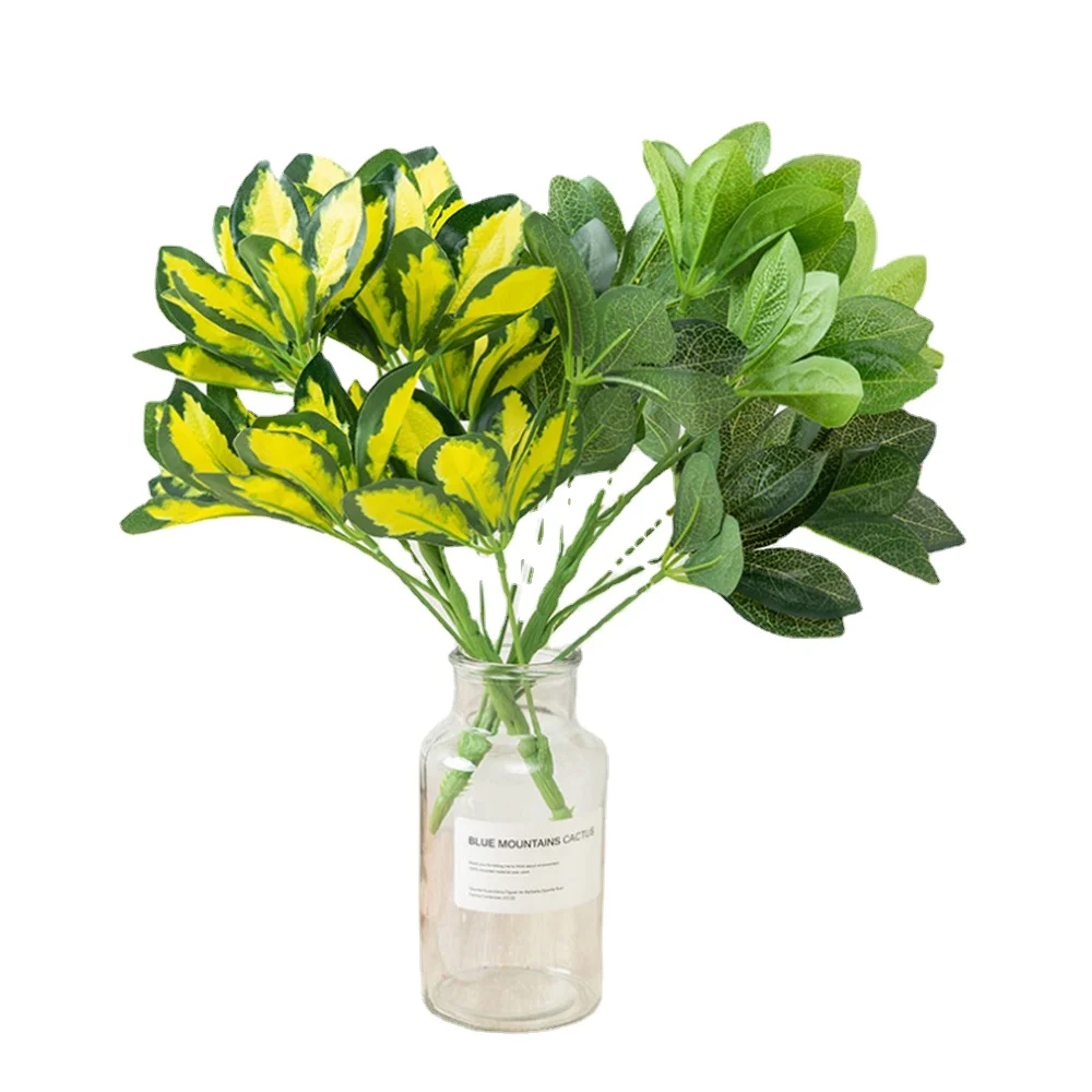 A Bunch of 9 New Artificial Fortune Leaf Plants Home Living Room Wedding Photography Grass Garden Balcony Green Plant Decoration
A Bunch of 9 New Artificial Fortune Leaf Plants Home Living Room Wedding Photography Grass Garden Balcony Green Plant Decoration