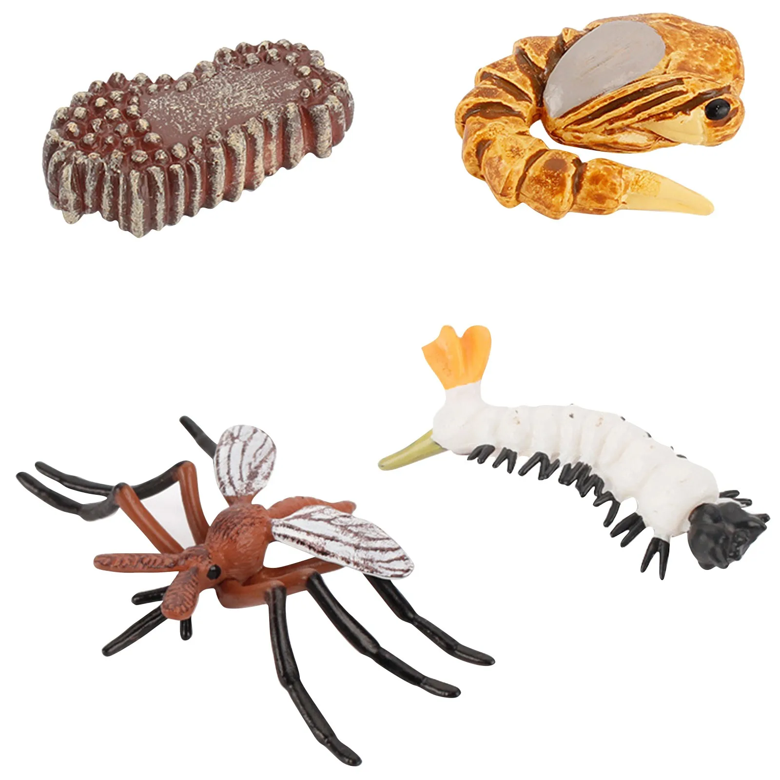 Simulation Animal Growth Cycle FrogsTortoise Butterfly Chicken Model Cartoon Toys Set Kids Educational Toy 5*
Simulation Animal Growth Cycle FrogsTortoise Butterfly Chicken Model Cartoon Toys Set Kids Educational Toy 5*