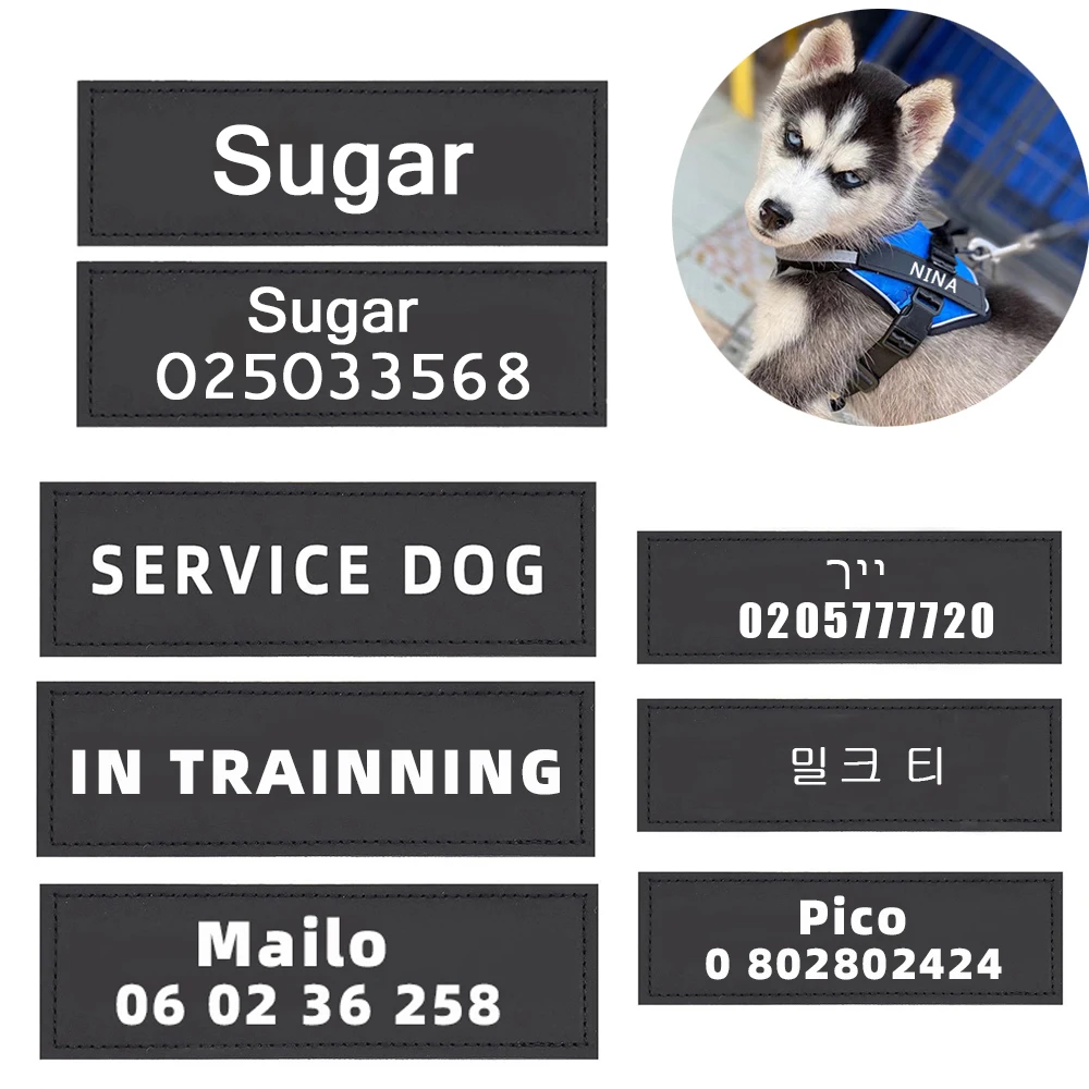Персонализированные кошка собака идентификационные метки собаки DIY Имя и номер