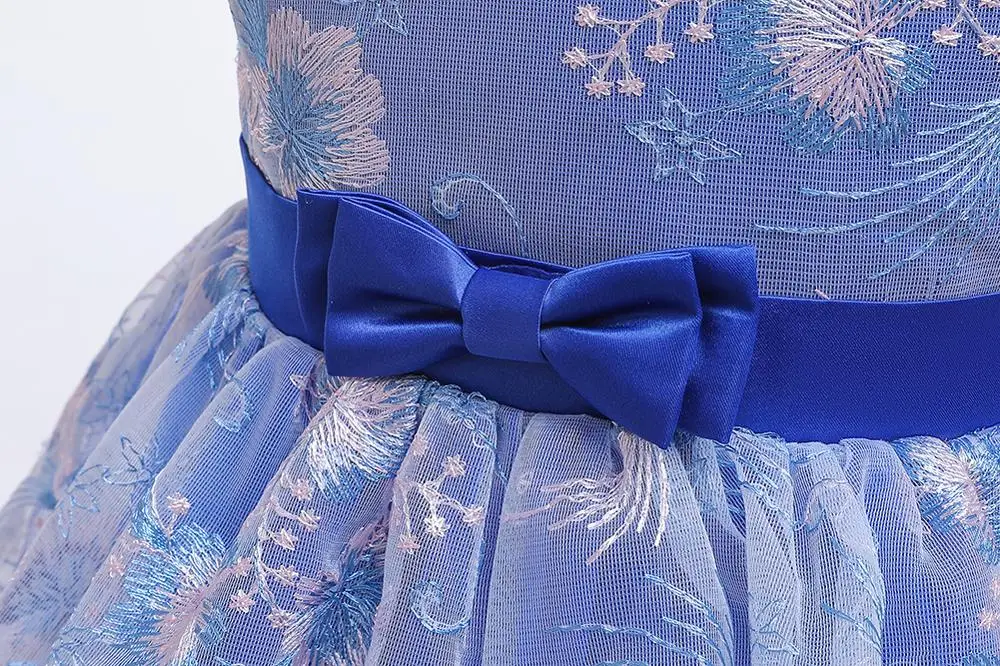 2019 summer embroidery tutu infant Baby Girl Dress petal Baptism Dresses for Girls 1-5y birthday party wedding baby clothing
2019 summer embroidery tutu infant Baby Girl Dress petal Baptism Dresses for Girls 1-5y birthday party wedding baby clothing