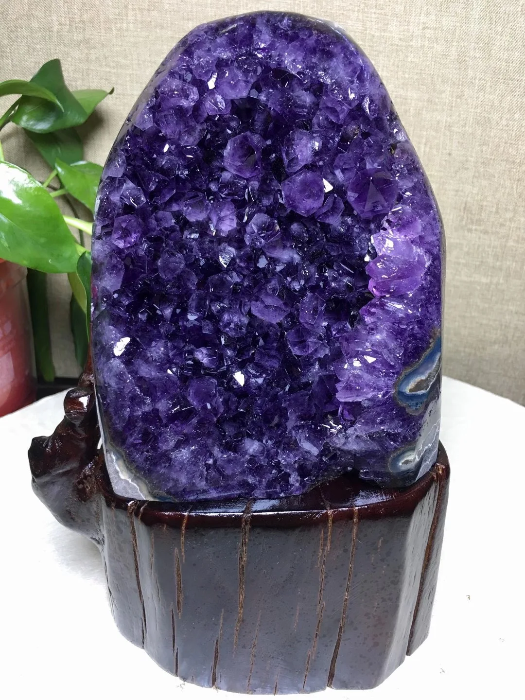 Природный аметистовый кластер, пещера аметиста, корнукопье, рассеивающий богатство, магнетизм, отгоняющий злый город, украшения для дома
Природный аметистовый кластер, пещера аметиста, корнукопье, рассеивающий богатство, магнетизм, отгоняющий злый город, украшения для дома