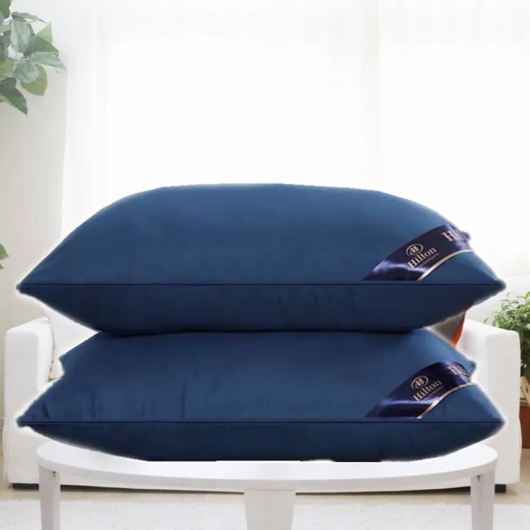 Body Pillow In Various Colors Hilton Pillow Five Star Hotel Hotel Cervical Protection Pillow Single Person Pillow
Body Pillow In Various Colors Hilton Pillow Five Star Hotel Hotel Cervical Protection Pillow Single Person Pillow