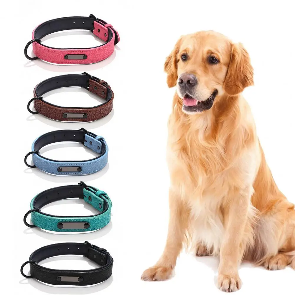 Ошейник для собак, однотонный ошейник для домашних животных, аксессуар для шеи, милый ошейник для щенков
Ошейник для собак, однотонный ошейник для домашних животных, аксессуар для шеи, милый ошейник для щенков