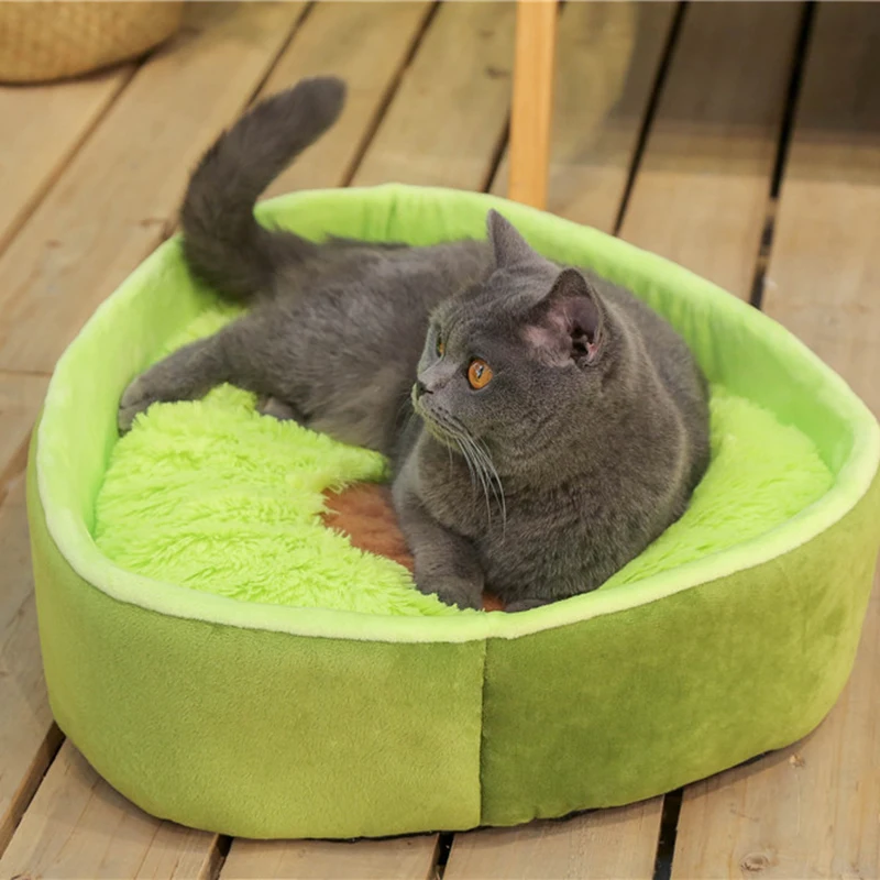 Round Plush Cat Bed House Soft Avocado Plush Pet Dog Bed For Dogs Products Nest Winter Warm Sleeping Cat Pet Bed Mat Cat House
Round Plush Cat Bed House Soft Avocado Plush Pet Dog Bed For Dogs Products Nest Winter Warm Sleeping Cat Pet Bed Mat Cat House