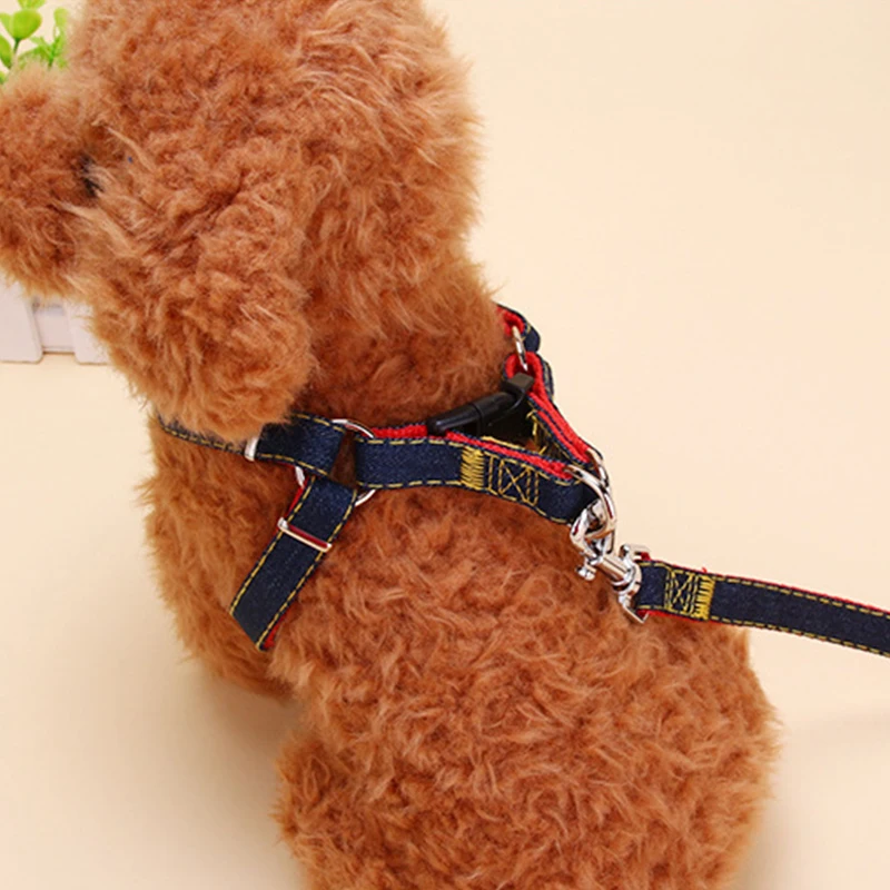 Pet Traction Rope Dog Chest Harness Nylon Collar Leash Personalized Adjustable Cowboy Stickers Wiring Puppy Supplies Accessories
Pet Traction Rope Dog Chest Harness Nylon Collar Leash Personalized Adjustable Cowboy Stickers Wiring Puppy Supplies Accessories