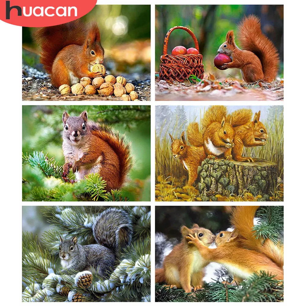 HUACAN полноразмерная квадратная/круглая алмазная живопись 5d белка Сделай Сам 5D алмазная вышивка крестиком животные Фотообои искусство 
HUACAN полноразмерная квадратная/круглая алмазная живопись 5d белка Сделай Сам 5D алмазная вышивка крестиком животные Фотообои искусство