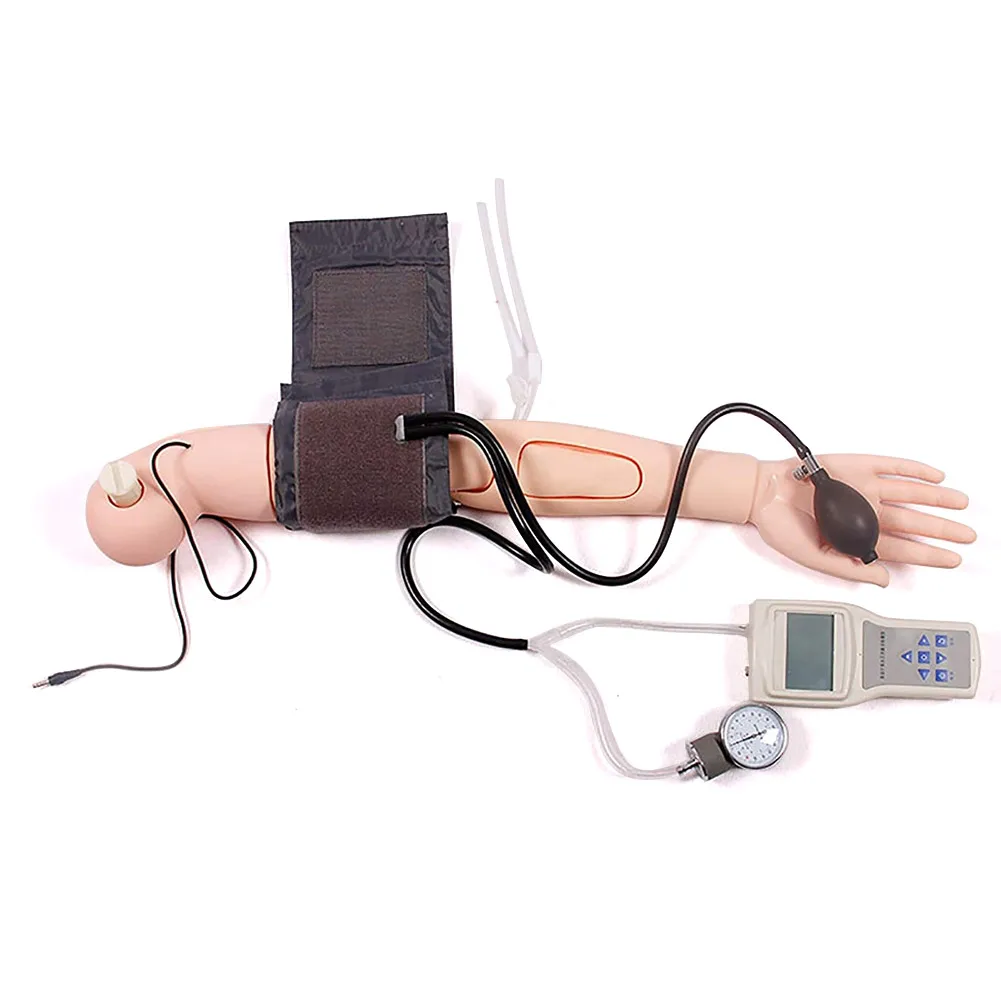 Advanced Arm Blood Pressure Measurement Training Simulator Nursing Model For Patient Education And Teaching
Advanced Arm Blood Pressure Measurement Training Simulator Nursing Model For Patient Education And Teaching