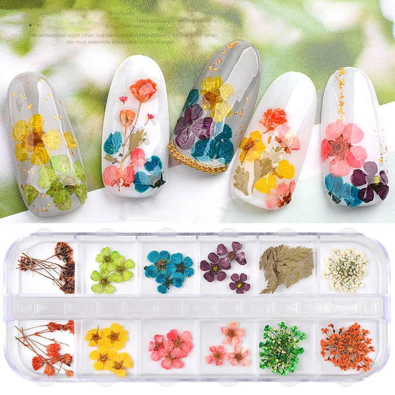 12 Grid Real Nail Lace Dried Flowers Leaf Nail Art Decoration DIY Tips Small Flowers Nails Stickers For Manicure Tools
12 Grid Real Nail Lace Dried Flowers Leaf Nail Art Decoration DIY Tips Small Flowers Nails Stickers For Manicure Tools