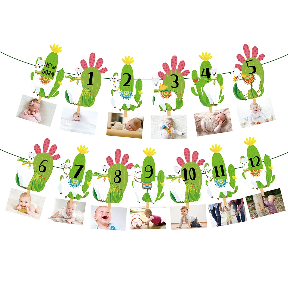 BA193 Mexico Summer Party Cactus Alpaca Animals Design Photo Display Banner for Kids Party Happy Birthday Party Banner
BA193 Mexico Summer Party Cactus Alpaca Animals Design Photo Display Banner for Kids Party Happy Birthday Party Banner