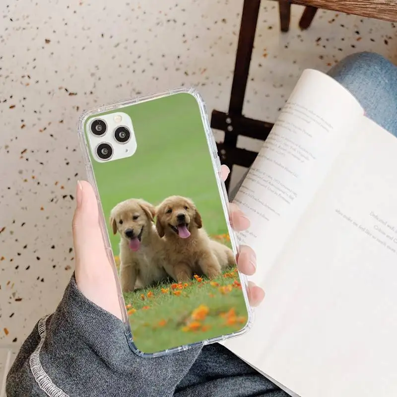 Labrador Puppies Dog cute animal Phone Cases Transparent soft For iphone 5 5s 5c se 6 6s 7 8 11 12 plus mini x xs xr pro max
Labrador Puppies Dog cute animal Phone Cases Transparent soft For iphone 5 5s 5c se 6 6s 7 8 11 12 plus mini x xs xr pro max