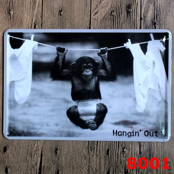 Naughty Orangutans! 20*30cm Vintage Tin Signs Retro Metal Sign Antique Imitation Iron Plate Painting Decor The Wall of Bar Cafe
Naughty Orangutans! 20*30cm Vintage Tin Signs Retro Metal Sign Antique Imitation Iron Plate Painting Decor The Wall of Bar Cafe