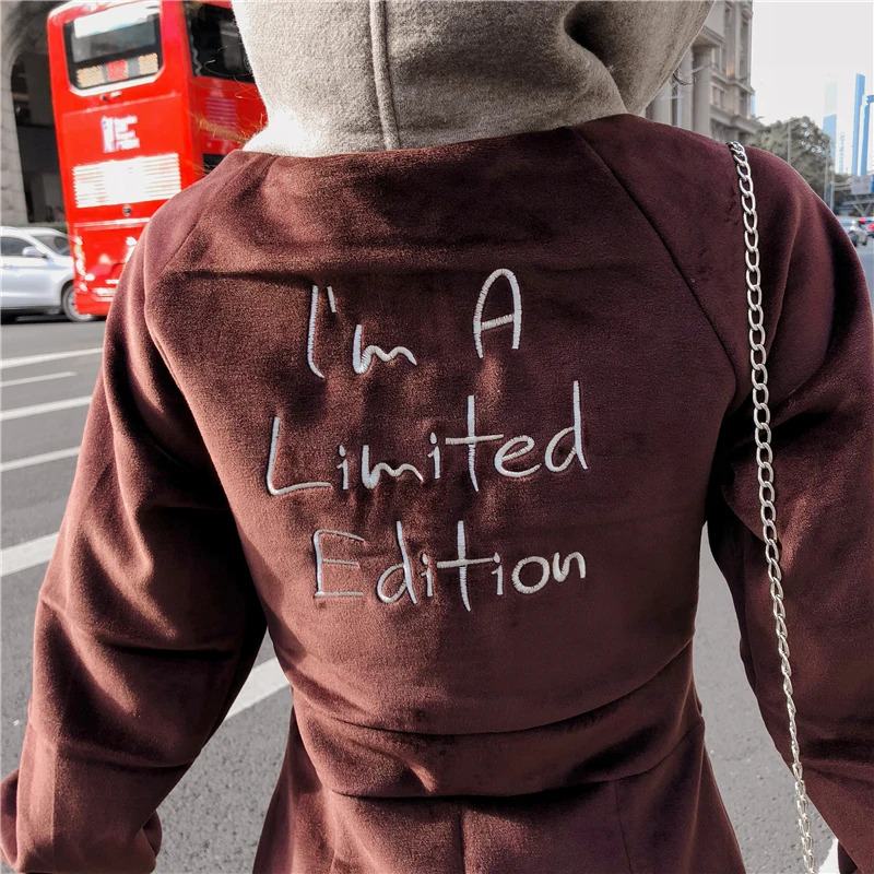 Hooded Embroidery velvet dress for women winter thick casual Mid-Calf length split femal dresses Sweet Autumn A-line dress
Hooded Embroidery velvet dress for women winter thick casual Mid-Calf length split femal dresses Sweet Autumn A-line dress