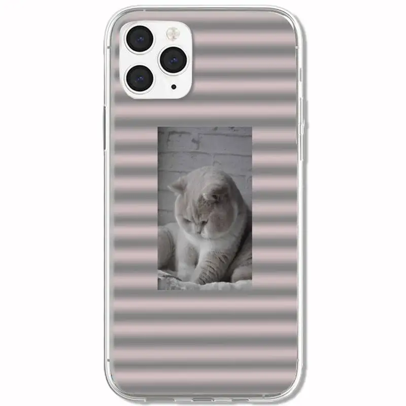 Cute Cat Expression Phone Case For Clear&P Iphone 5s Se 6 6s 7 8 11 12 X Xs Pro Plus Mini Max Fundas Cover
Cute Cat Expression Phone Case For Clear&P Iphone 5s Se 6 6s 7 8 11 12 X Xs Pro Plus Mini Max Fundas Cover