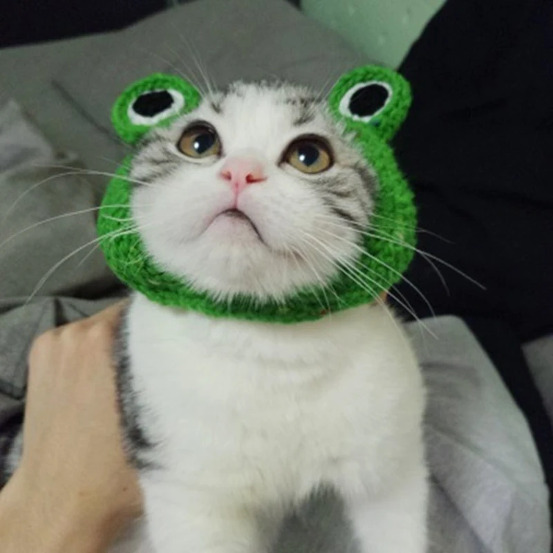 Dog and Cat Cosplay Frog Headgear Hat Dog and Cat Wig Pet Hat Pet Cosplay Cap Cute Cats Frog Shaped Hat Cosplay Hat 1pc
Dog and Cat Cosplay Frog Headgear Hat Dog and Cat Wig Pet Hat Pet Cosplay Cap Cute Cats Frog Shaped Hat Cosplay Hat 1pc