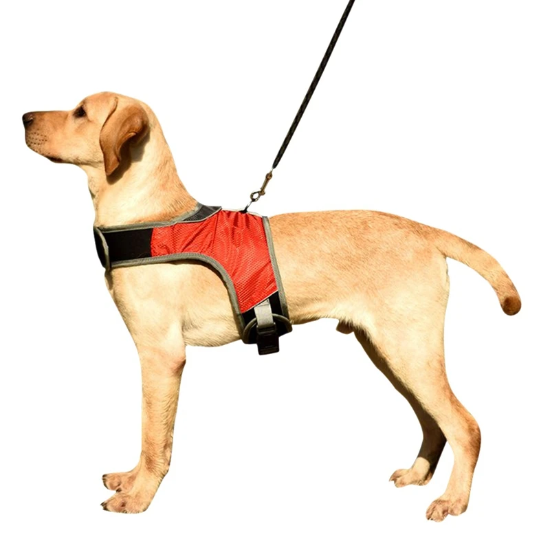 Hot Sale K-shaped Luminous LED Harness Dog Collor Pet Dog Harness Chest For Medium Large Dogs Night Travel Pet Supplies X
Hot Sale K-shaped Luminous LED Harness Dog Collor Pet Dog Harness Chest For Medium Large Dogs Night Travel Pet Supplies X