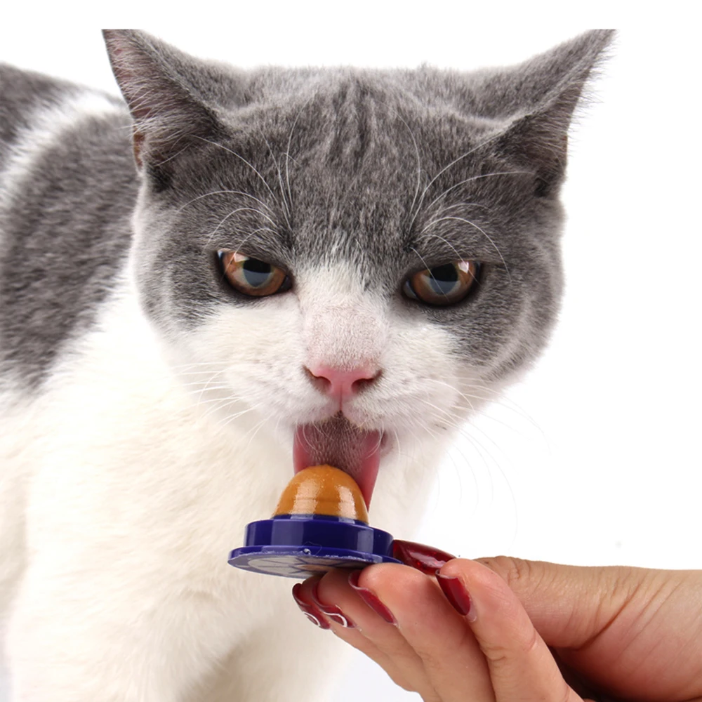 Catnip Sugar Candy Healthy Cat Snacks Licking Nutrition Gel Energy Ball Toy for Cats Kittens Increase Drinking Water Help Tool 
Catnip Sugar Candy Healthy Cat Snacks Licking Nutrition Gel Energy Ball Toy for Cats Kittens Increase Drinking Water Help Tool